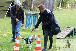 Welpen  06.09.2025 43